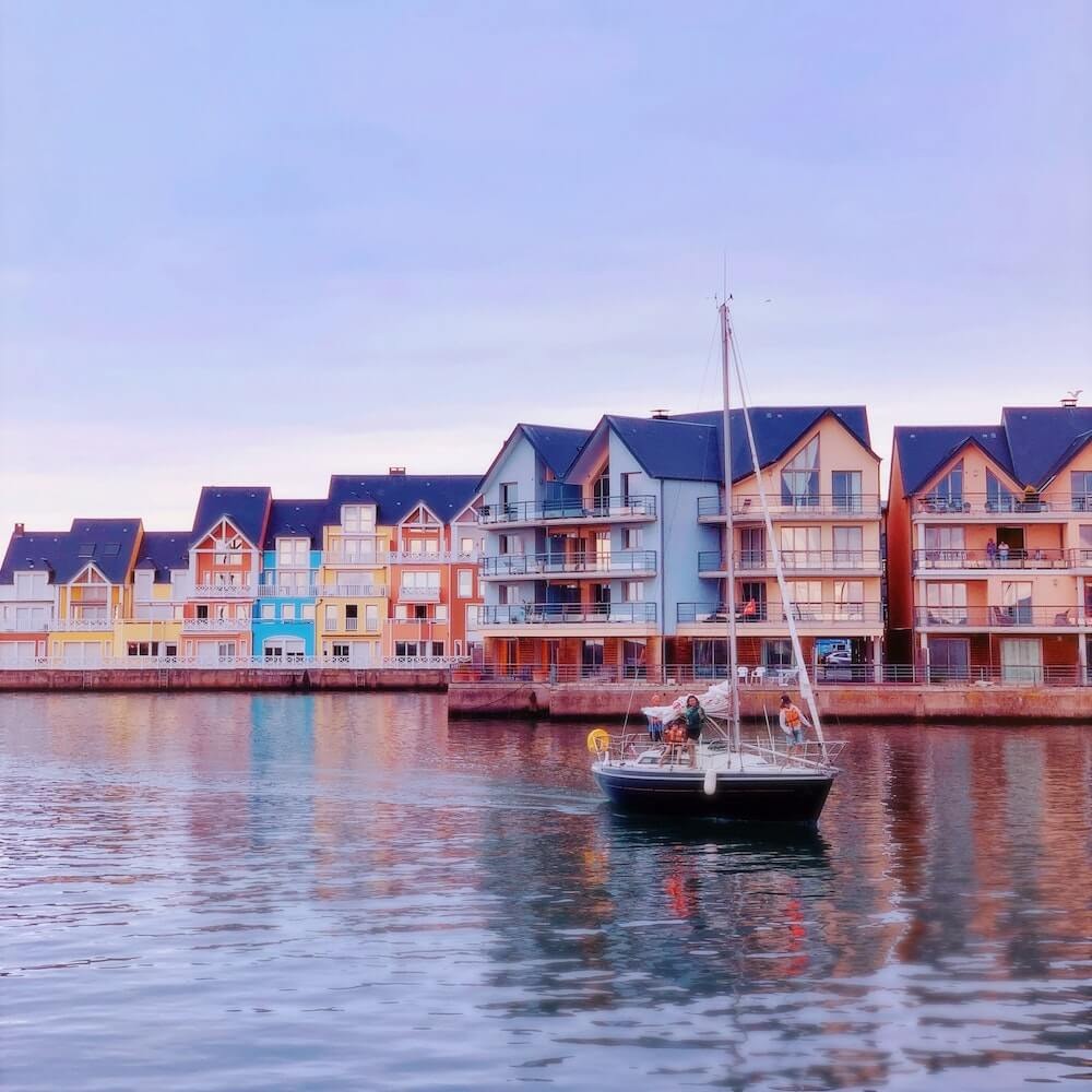 colorful hourses